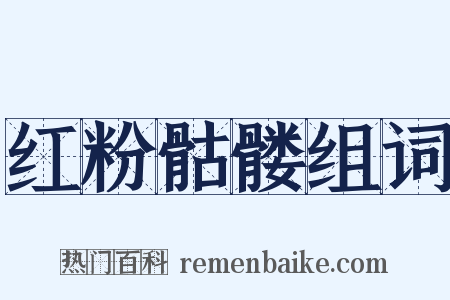红粉骷髅组词是什么意思的图片